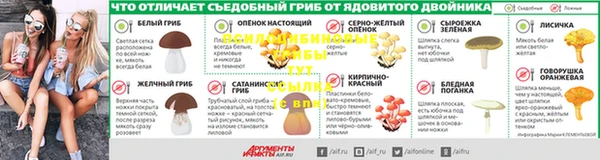 дживик Нея