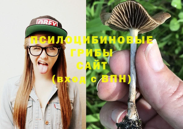 винт Нефтегорск